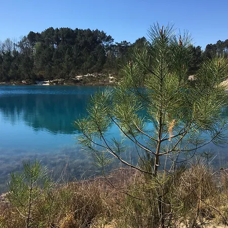 Bedenac Joli Maisonnette A 30 Mn De Bordeaux De Jonzac De Blaye, Pour 2 Adultes Dom wakacyjny Bussac-Foret