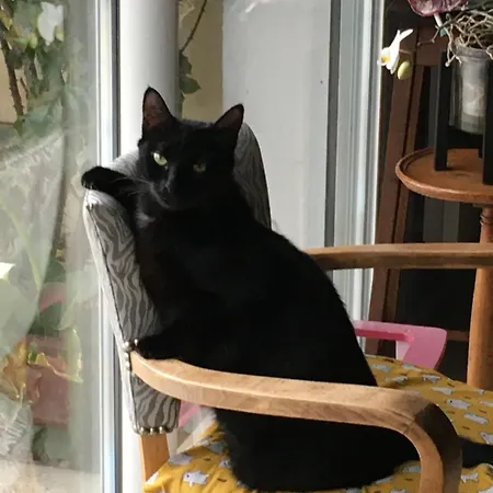 Dom wakacyjny Bedenac Joli Maisonnette A 30 Mn De Bordeaux De Jonzac De Blaye, Pour 2 Adultes Bussac-Foret