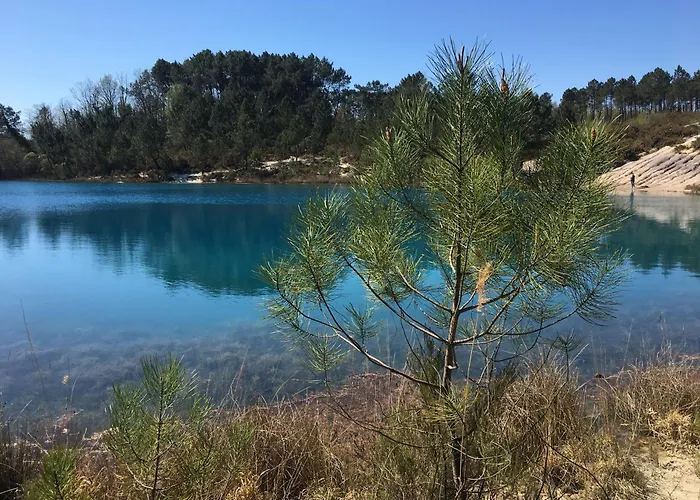 Bedenac Joli Maisonnette A 30 Mn De Bordeaux De Jonzac De Blaye, Pour 2 Adultes Сasa de vacaciones Bussac-Foret