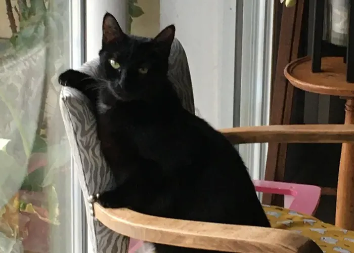 Сasa de vacaciones Bedenac Joli Maisonnette A 30 Mn De Bordeaux De Jonzac De Blaye, Pour 2 Adultes Bussac-Foret